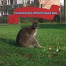 Kinderboerderij Wilhelminapark