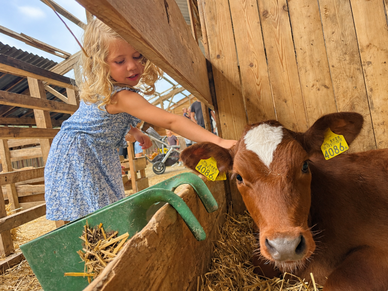Belevenisboerderij De Steenuil - Oirschot