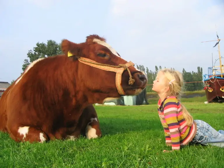 Belevenisboerderij De Steenuil - Oirschot