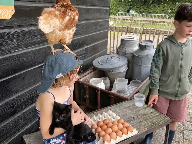 Belevenisboerderij De Steenuil - Oirschot