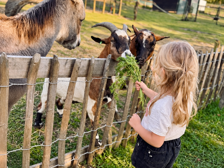 Belevenisboerderij De Steenuil - Oirschot
