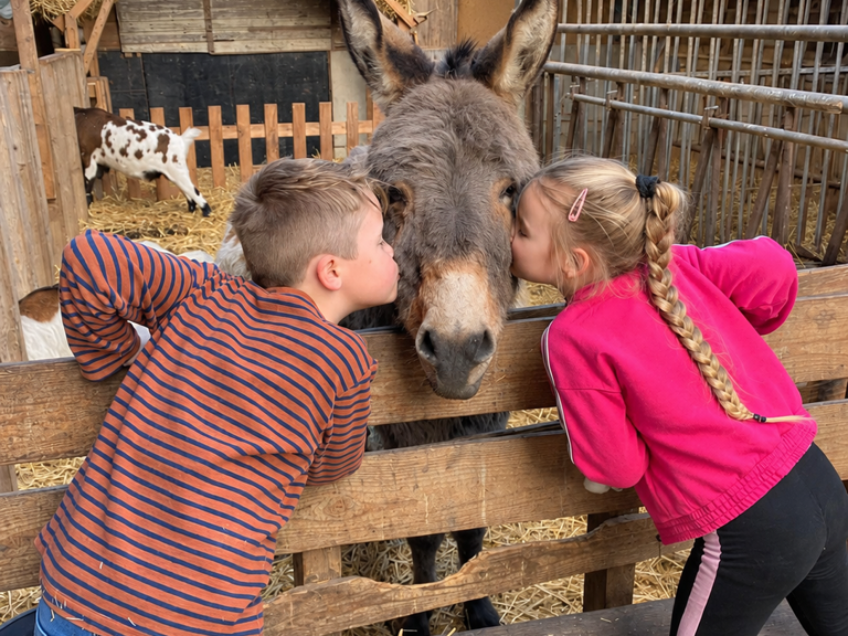 Belevenisboerderij De Steenuil - Oirschot