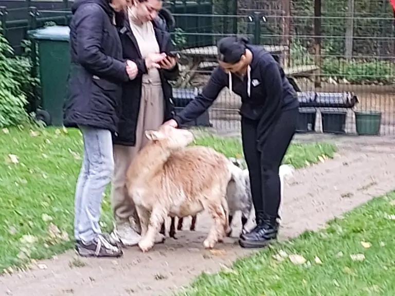 Kinderboerderij De Heij - Rotterdam