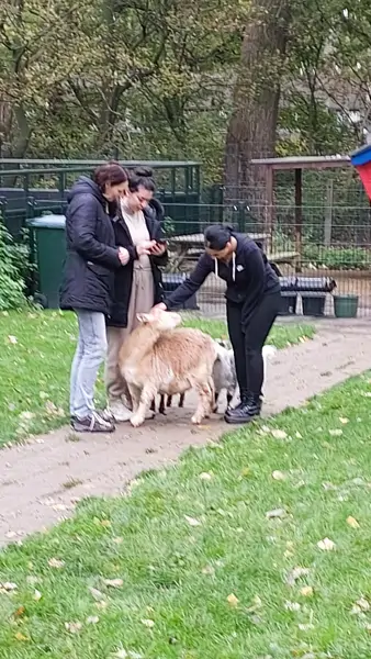 Kinderboerderij De Heij